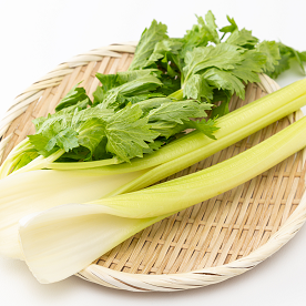 セロリの香りを料理に生かそう! 覚えておきたい選び方や保存方法のポイント