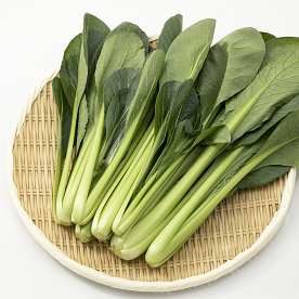 小松菜は手軽に使えて栄養も豊富! 上手な保存のコツを知ろう