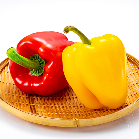 パプリカはピーマンと何が違う？ 特徴や上手な保存方法を知ろう