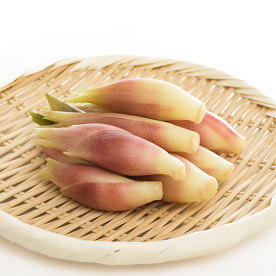 薬味以外でも楽しめる！ みょうがの使い方と保存方法