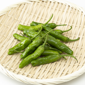 いろいろな料理に使える！ ししとうの選び方と保存のポイント