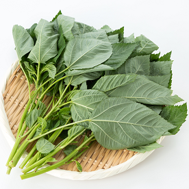 栄養豊富なモロヘイヤを料理に生かそう！ 保存方法や食べ方のコツ