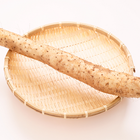 ヤマノイモってどんな野菜？ 保存のコツを知っておいしさを保とう