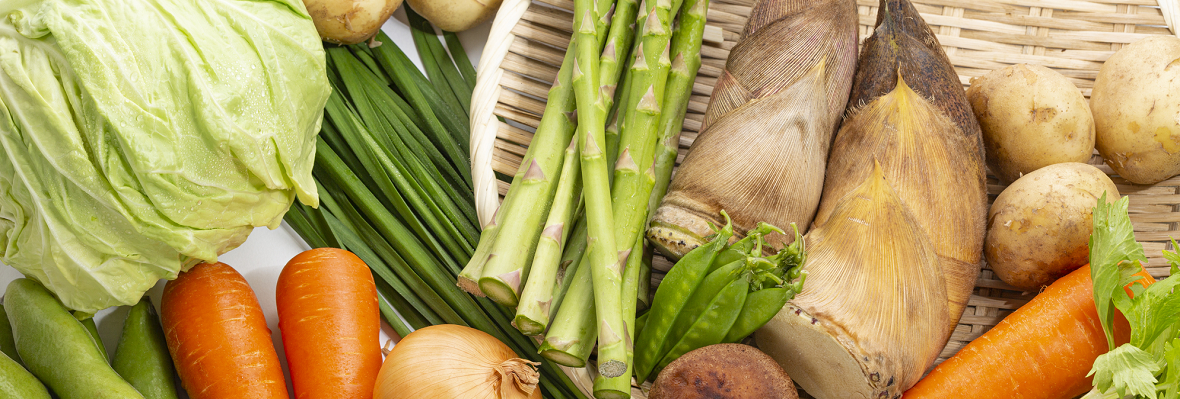 旬の春野菜を楽しもう！ 代表的な春野菜の特徴とおいしい食べ方のコツ