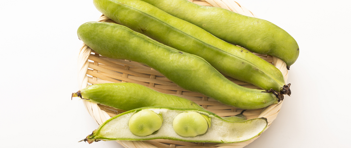 そら豆はどんな豆？