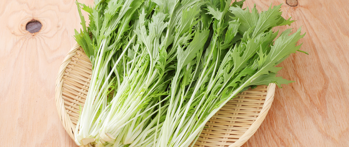 水菜ってどんな野菜？