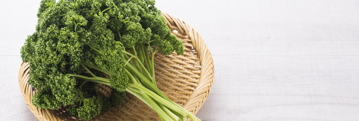 栄養豊富なパセリを料理に活用しよう！ おいしく使うための基礎知識