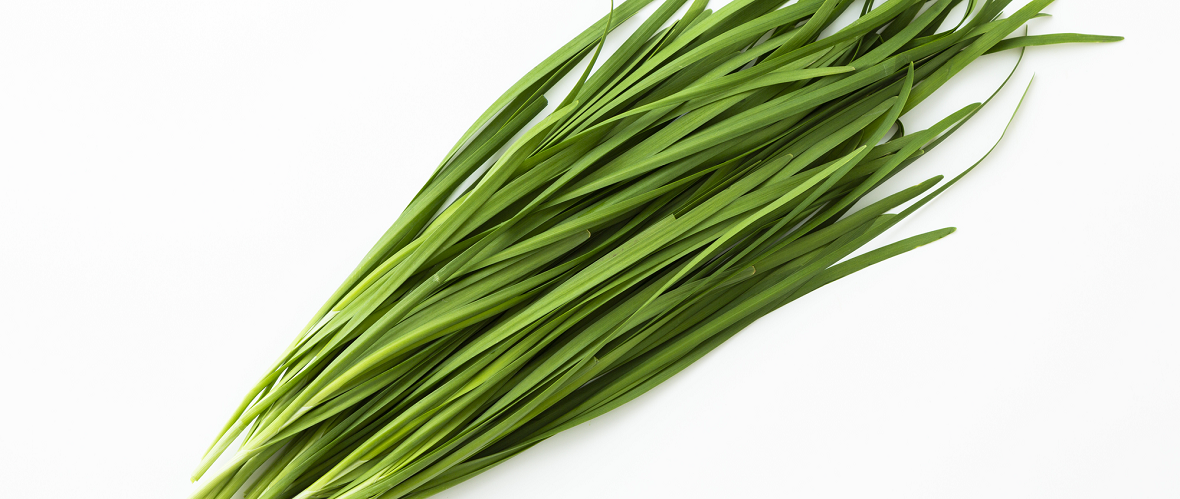 新鮮なニラの選び方