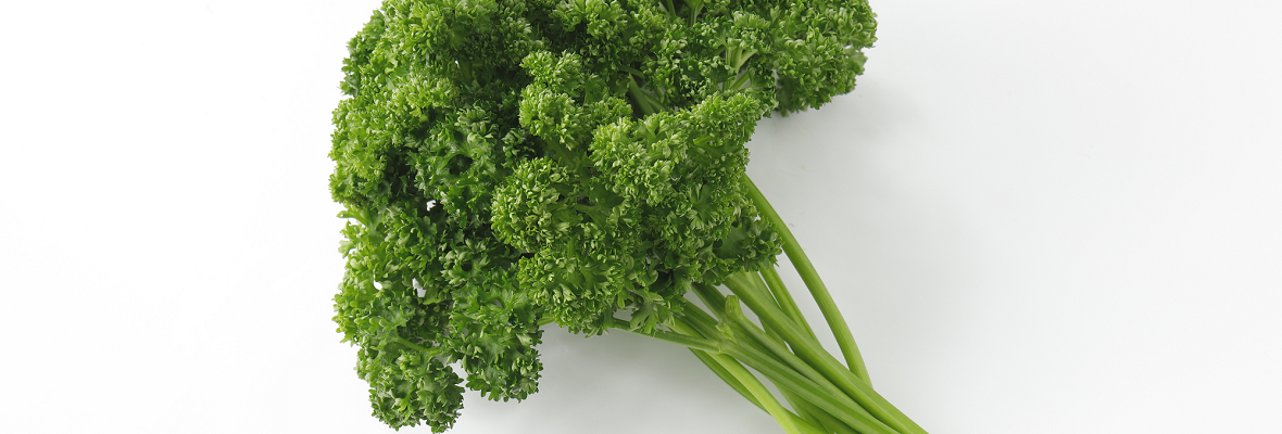 パセリは冷凍すると便利! 栄養豊富な食材を食卓に取り入れよう