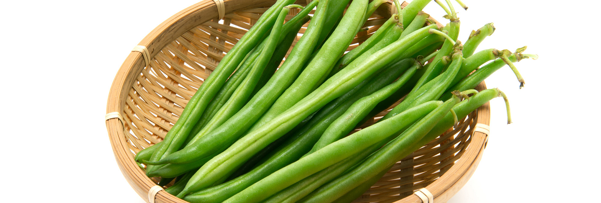 さやいんげんの色や食感を料理に生かそう！ 保存や下ごしらえのコツ