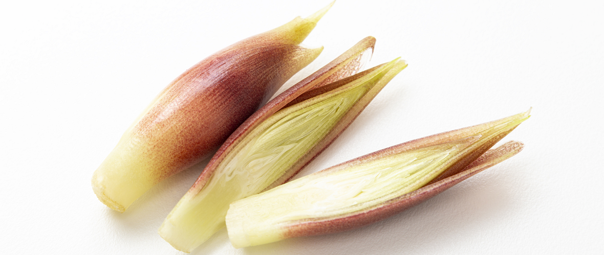 みょうがってどんな野菜?