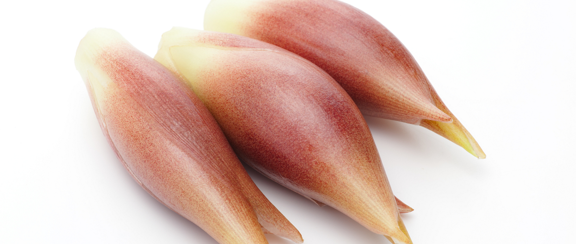 新鮮なみょうがの選び方