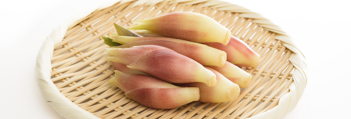 薬味以外でも楽しめる! みょうがの使い方と保存方法