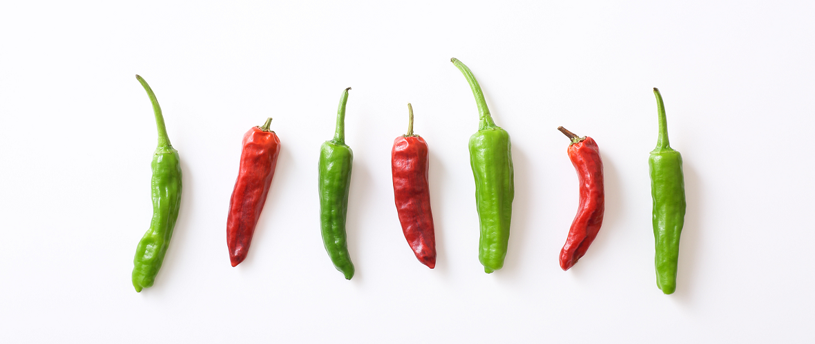 ししとうとトウガラシは何が違う?