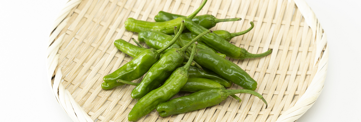 いろいろな料理に使える! ししとうの選び方と保存のポイント