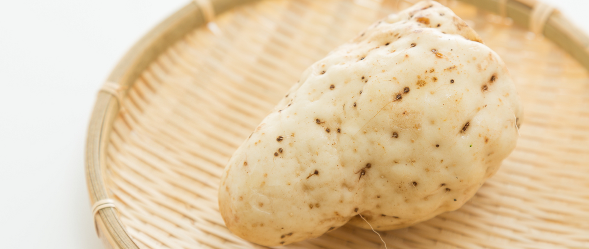 ヤマノイモって何?