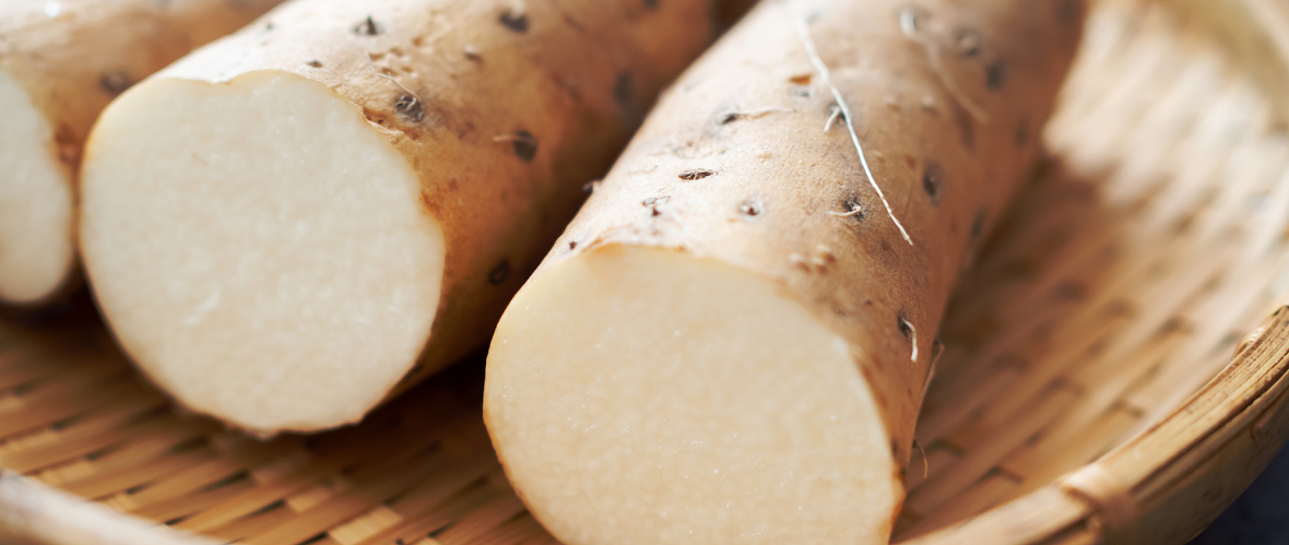 ヤマノイモの保存方法は?