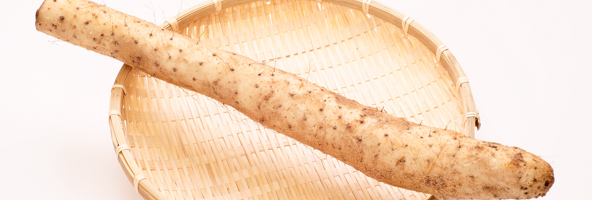 ヤマノイモってどんな野菜? 保存のコツを知っておいしさを保とう