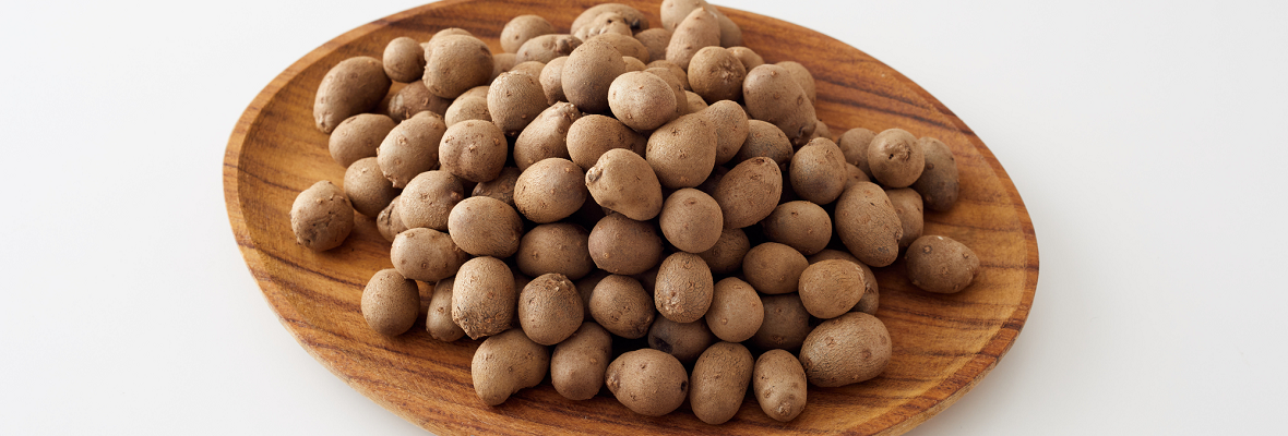 「むかご」ってどんな食材? 保存方法やおいしい食べ方を知ろう