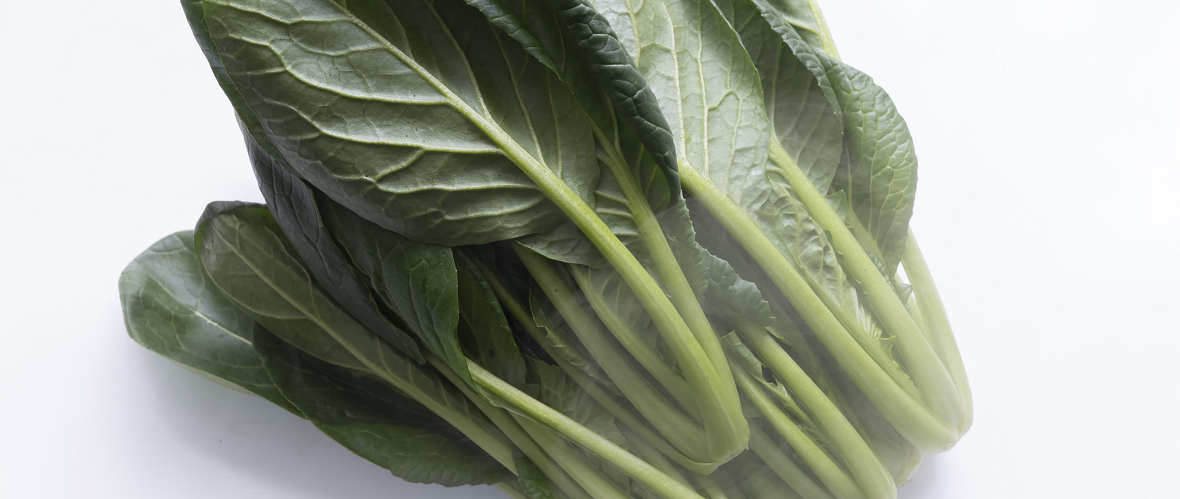 短期間なら冷蔵保存も活用しよう